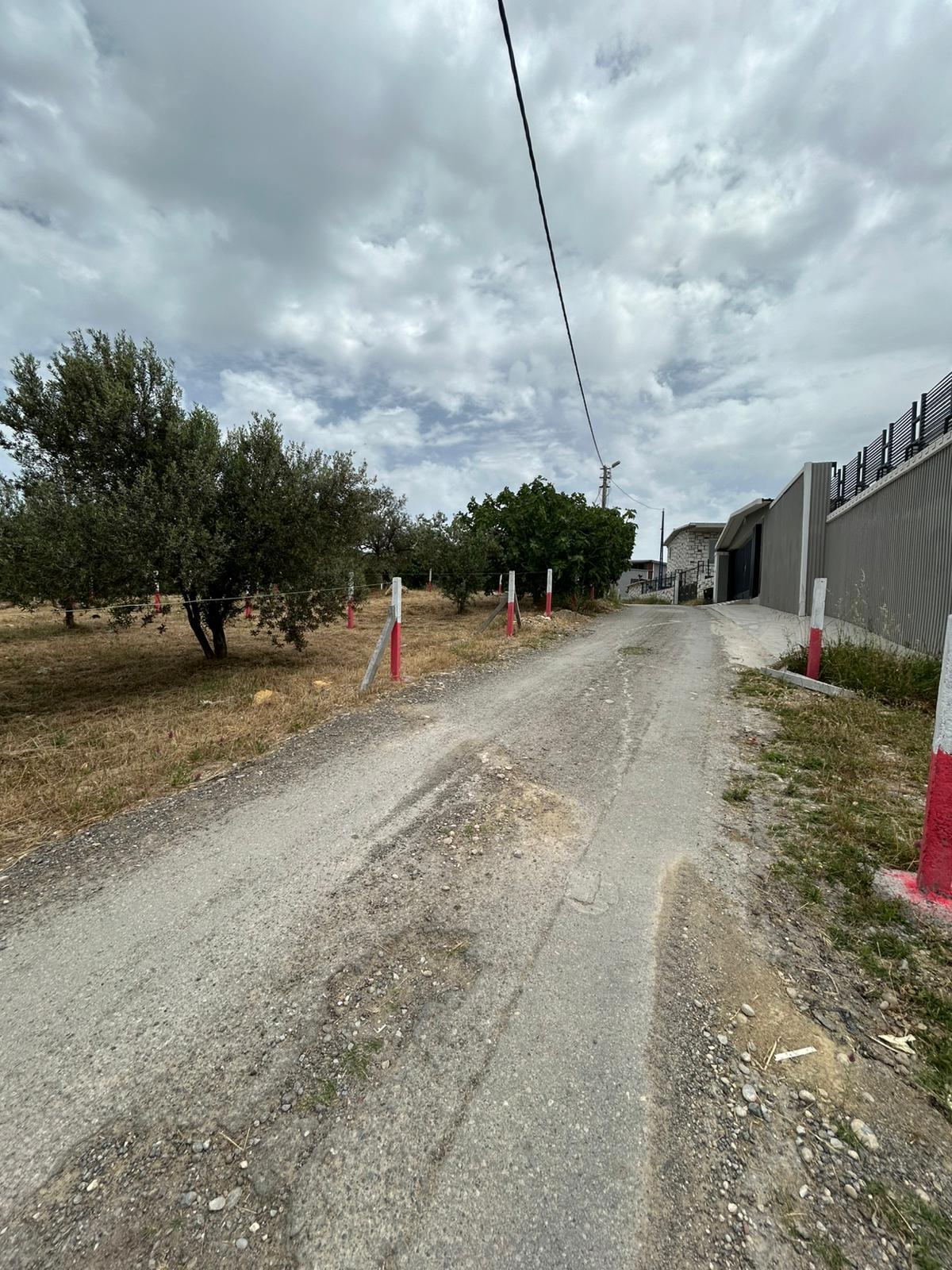 Gülümseyen 28 yaşında kadın portresi, uzun sarı saçlı, açık tenli